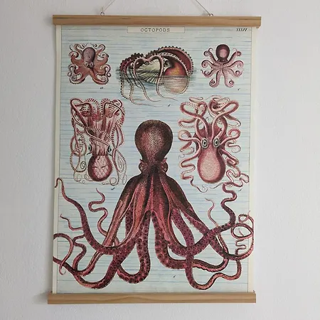 Petite Maison Chaleureuse Avec Piscine